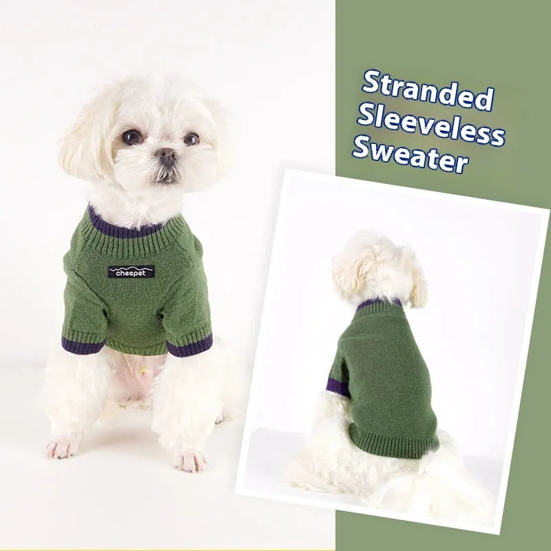 British style wool pet sweater for dog with contrast colour legs in Crown Blue.