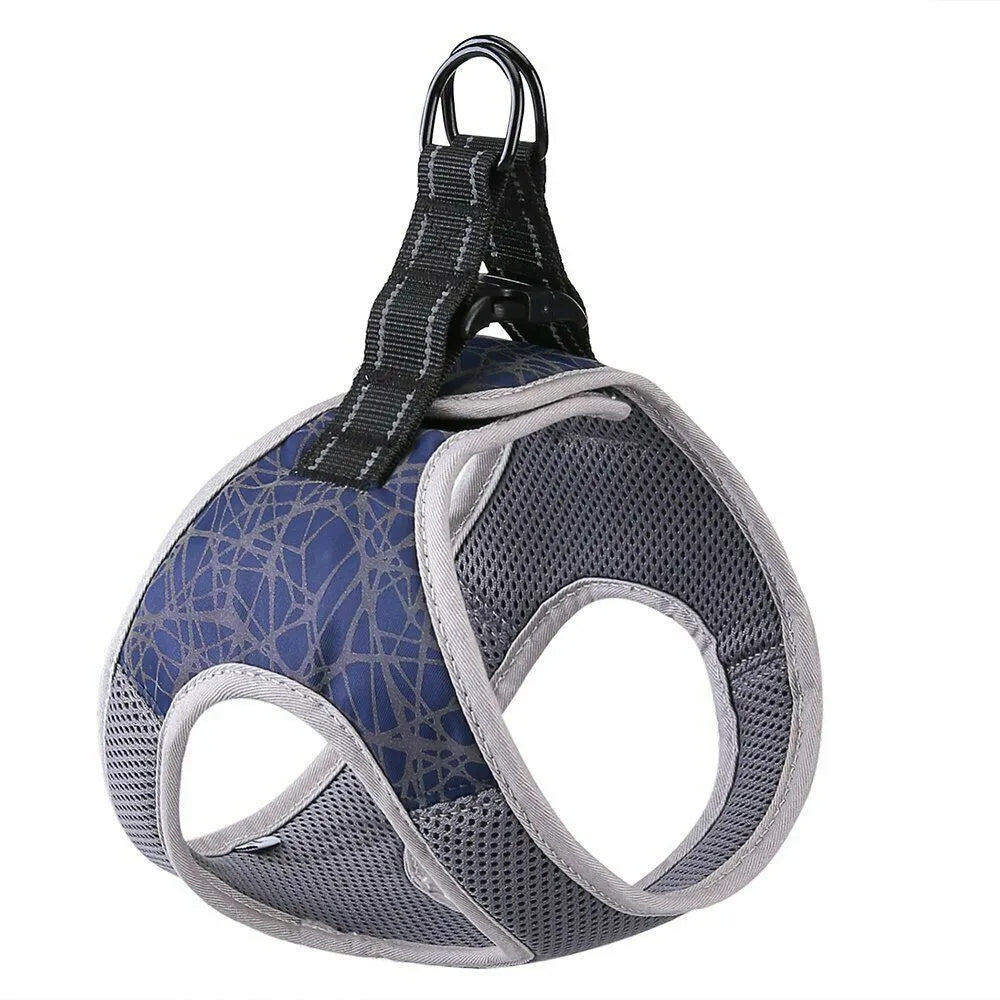 Dog leash vest in blue colour made of polyester and nylon with adjustable straps