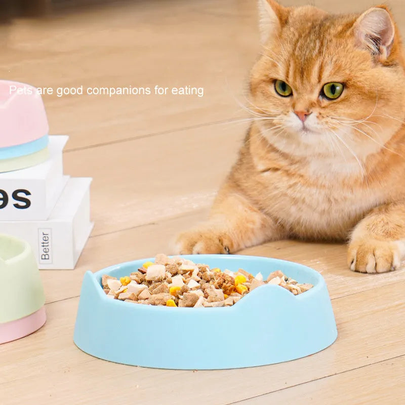 Blue ceramic dog slow feeder bowl with raised maze pattern inside for slowing down fast eaters.