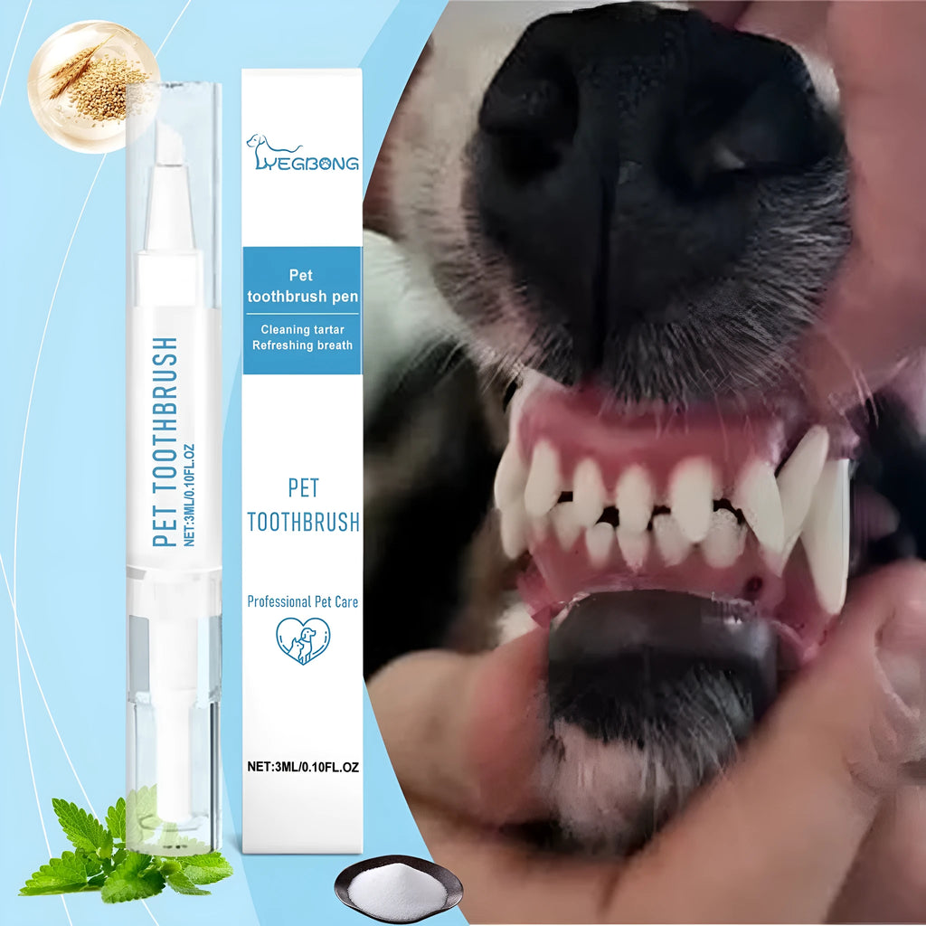 Soft silicone pet toothbrush pen with mint toothpaste tube for cat and dog dental care