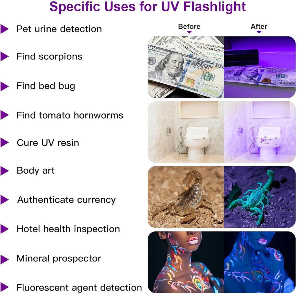Black aluminium UV flashlight torch for detecting pet urine stains and insects on a dark surface.