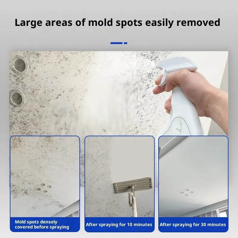 Wall odor canceller spray 240ml with nozzle on painted white wall