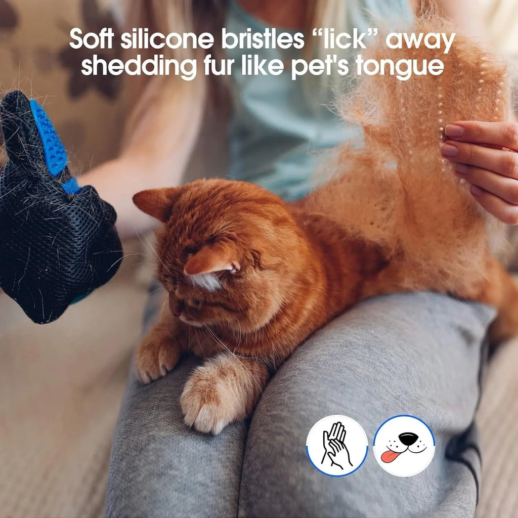 Blue pet grooming glove with silicone tips for brushing dogs and cats