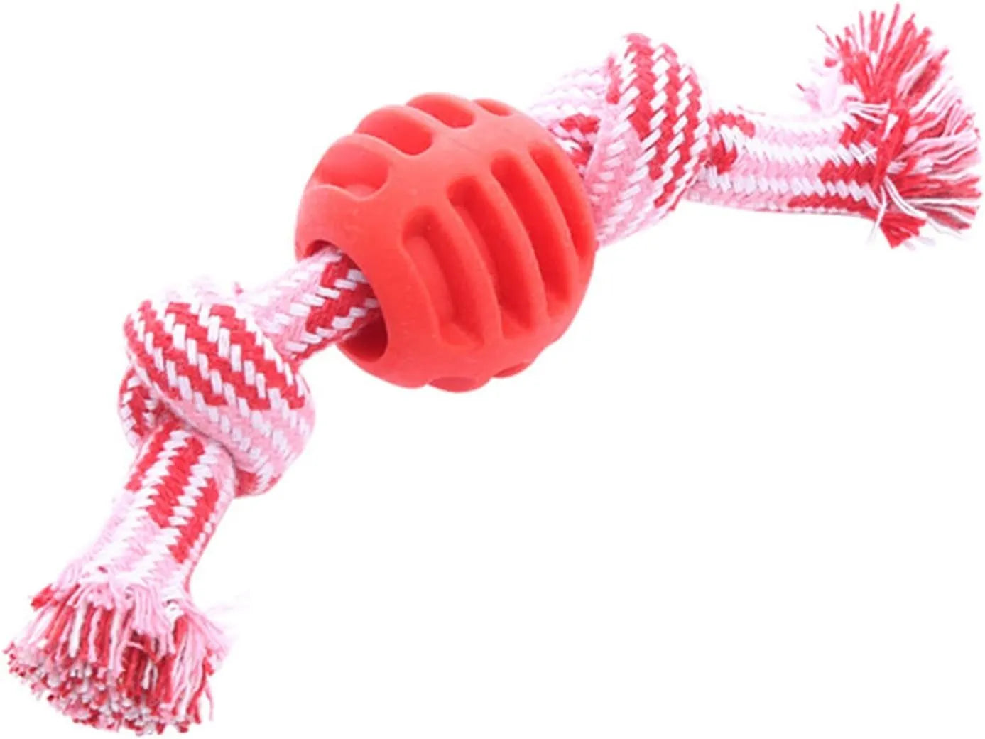 Blue molar-shaped dog chew toy with natural fibre ropes for dental cleaning