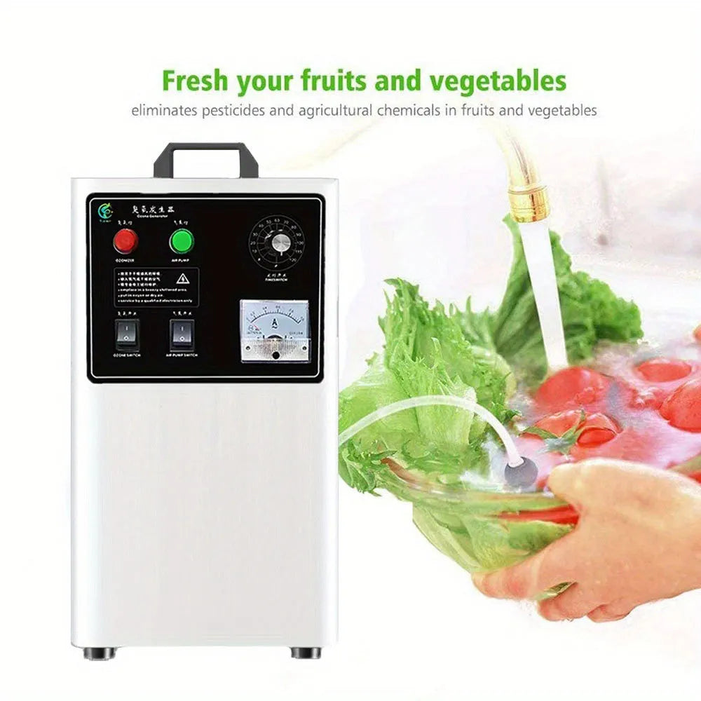 Commercial stainless steel ozone generator machine for fruit and vegetable disinfection
