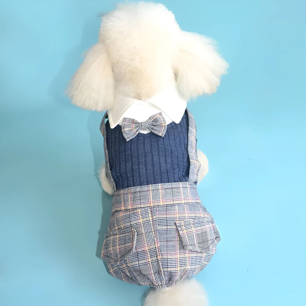 Orange cotton dog shirt with button front and fitted collar for small dogs