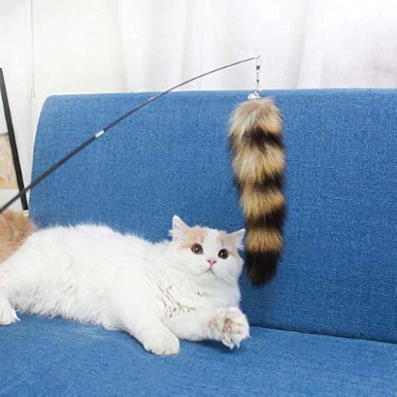 Black elastic cat wand teaser toy with long string for interactive play with kittens and cats.