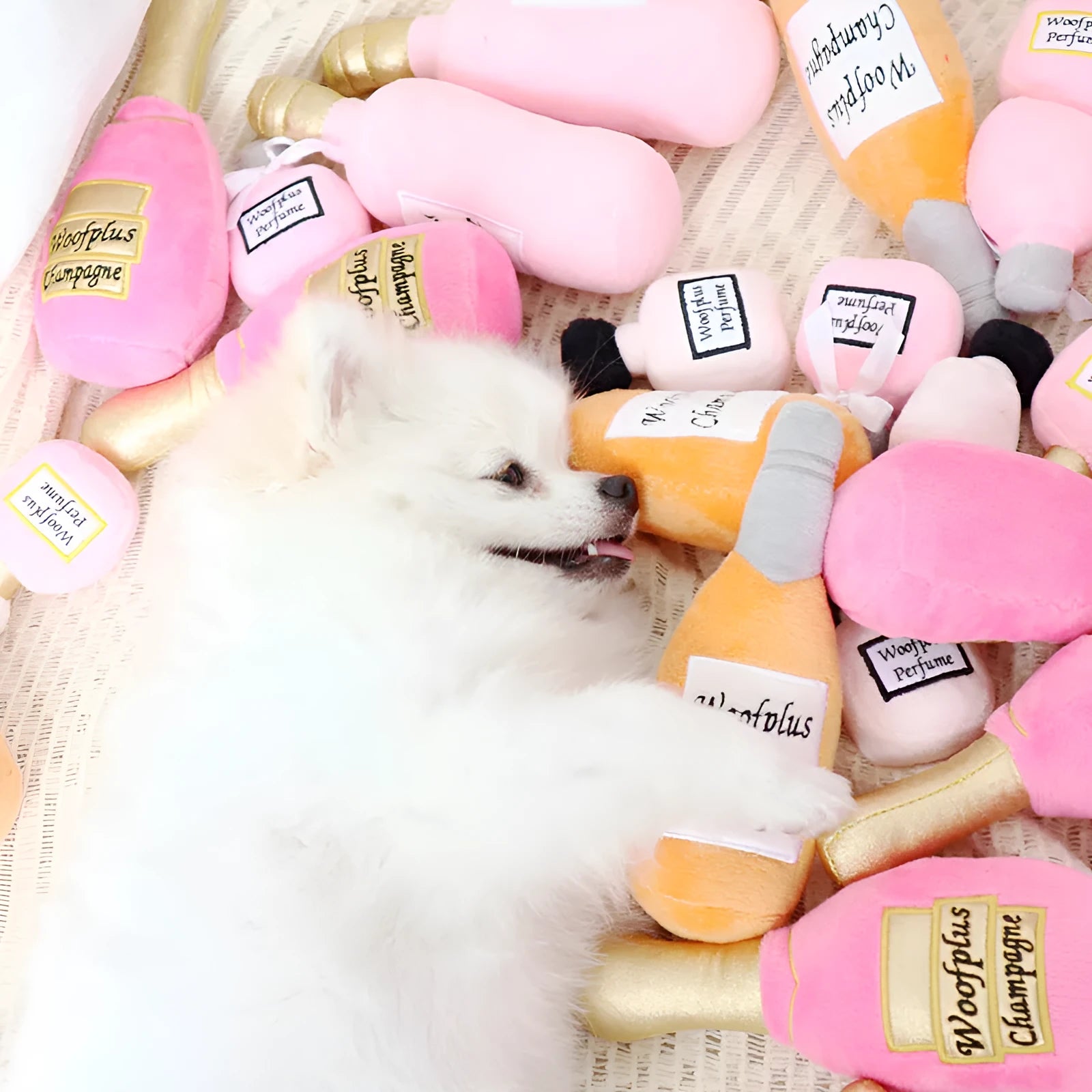 Soft plush wine bottle pet toy for dogs and cats in multiple colour variations