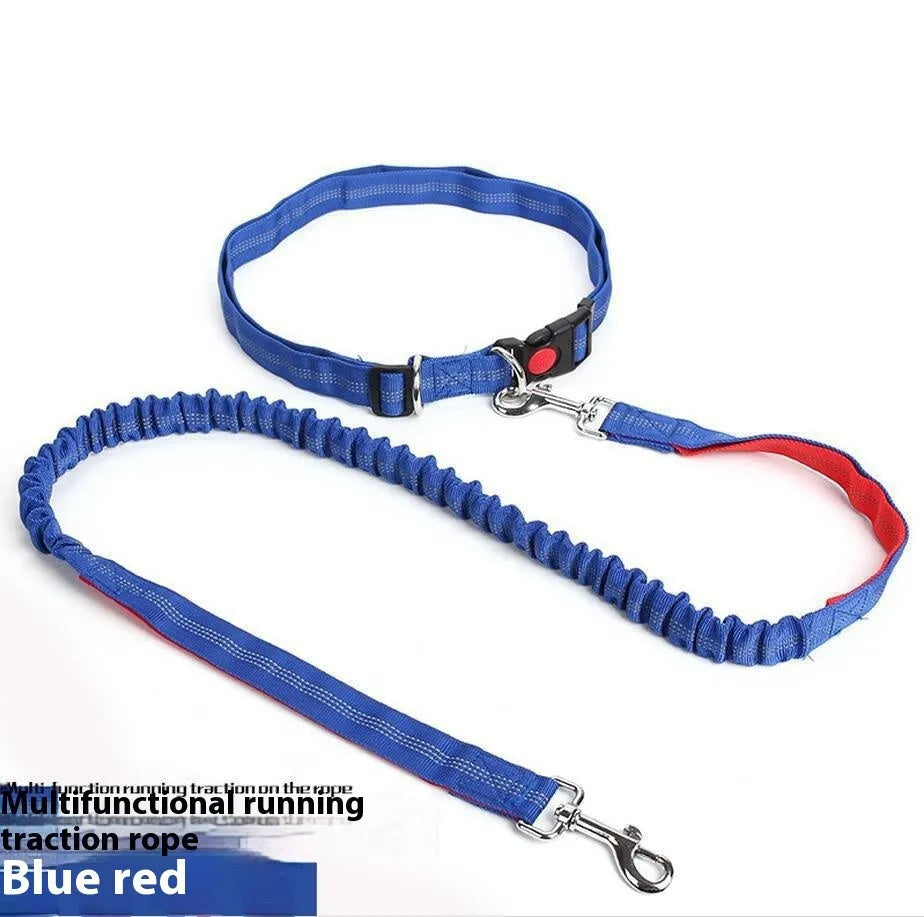 Elastic dog leash with reflective filament in gray and blue colour combination showing 2.5cm width
