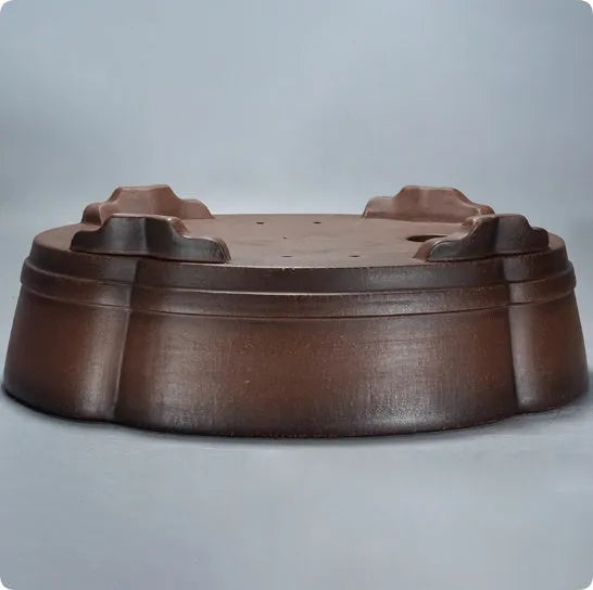 A classical simple purple clay bonsai pot on a tabletop.