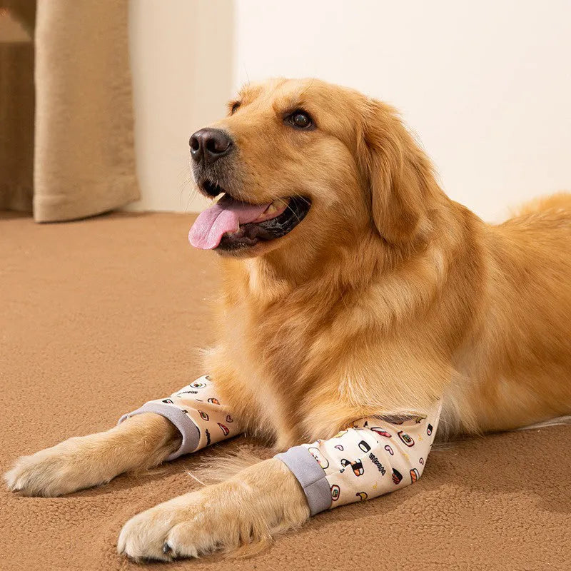 Blue dog knee protector pad with thick elbow padding and adjustable strap, shown with a matching scarf.