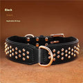 Leather dog collar with a line of stainless steel rivets, shown in black colour.