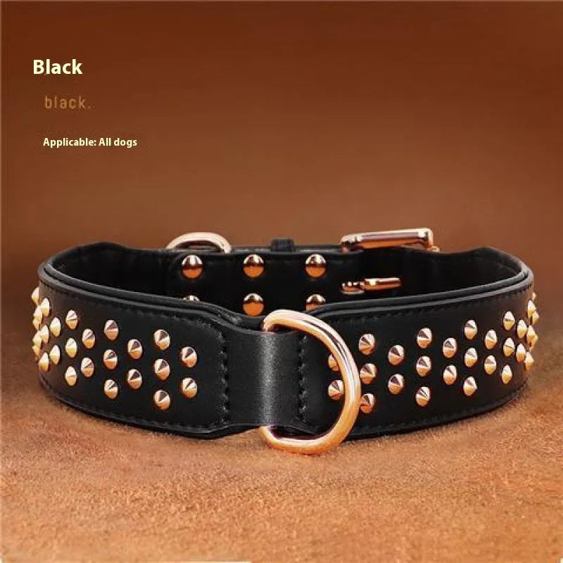 Leather dog collar with a line of stainless steel rivets, shown in black colour.