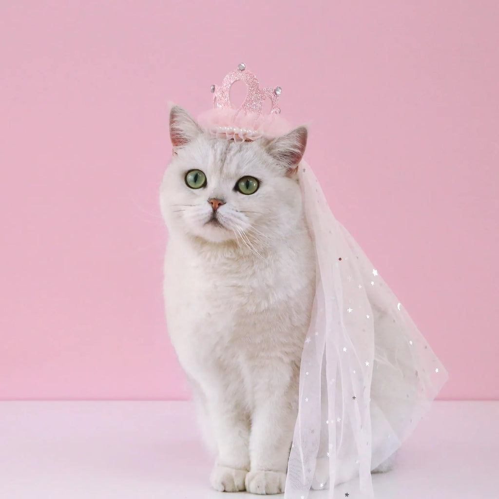 Cat wearing a princess crown headdress with a long, flowing veil in beige or pink colour.