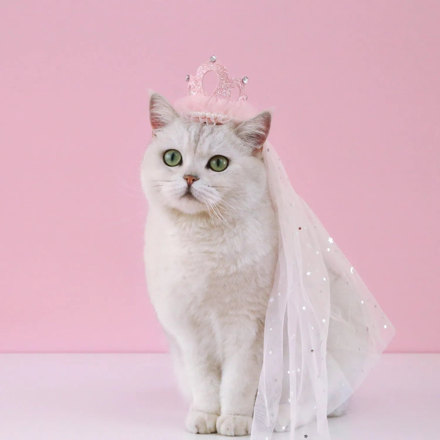 Cat wearing a princess crown headdress with a long, flowing veil in beige or pink colour.