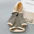 Cotton terry sweater for small dogs in khaki colour, sweatshirt style for Teddy breed