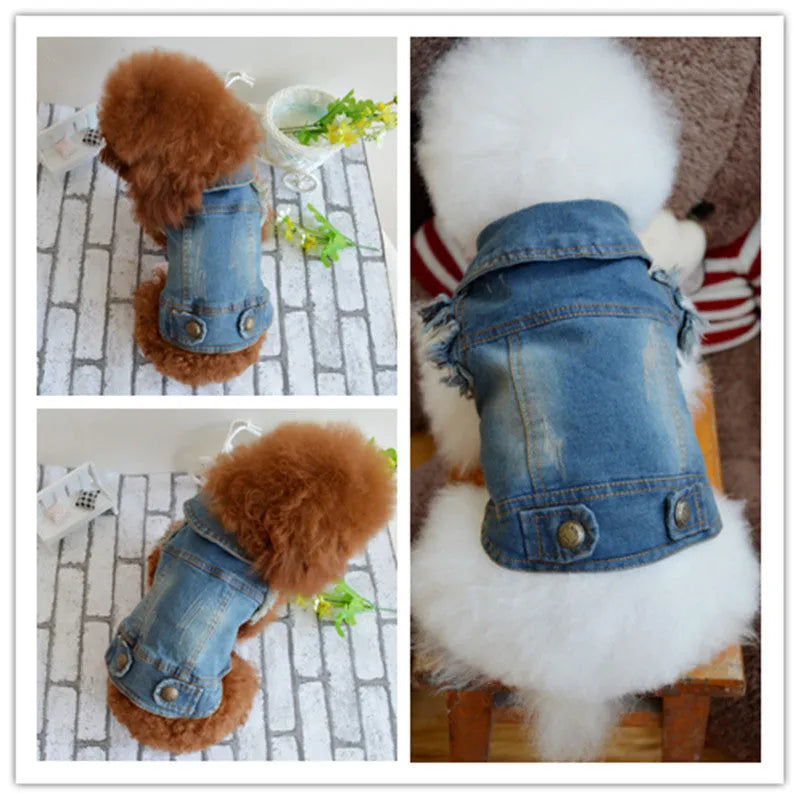 Denim dog vest with retro scratch pattern for small breed pet in dark wash colour