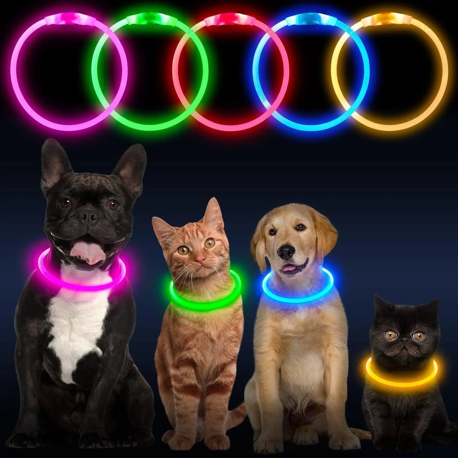 USB rechargeable LED dog safety collar with glowing light and adjustable 70cm TPU construction