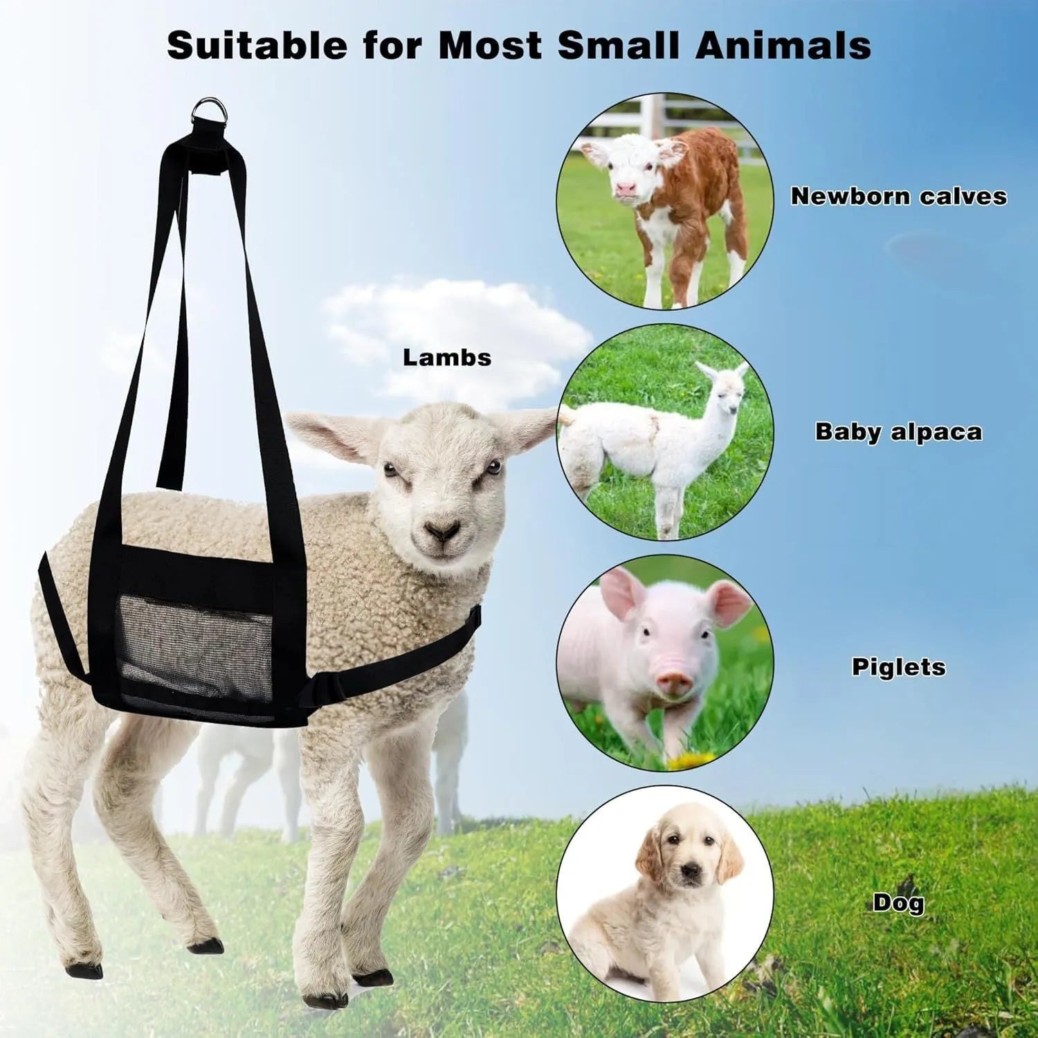 Black livestock weighing sling measuring 35 by 150 centimetres for calves and large dogs.