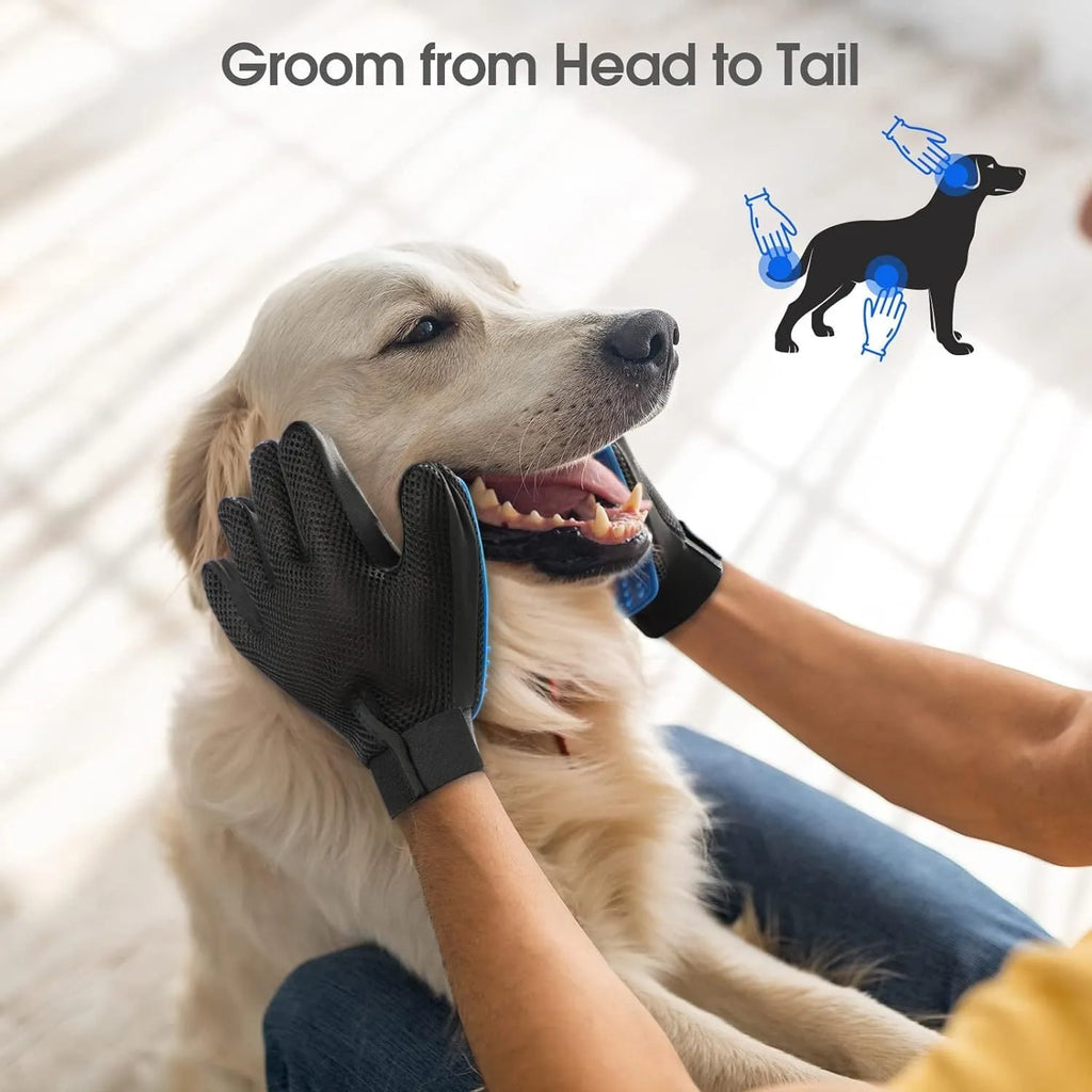Blue pet grooming glove with silicone tips for brushing dogs and cats