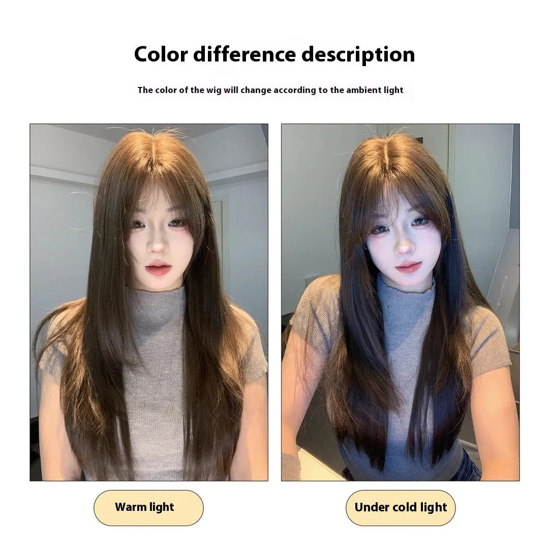 Layered long straight cold brown women's wig made from high-temperature fibre material