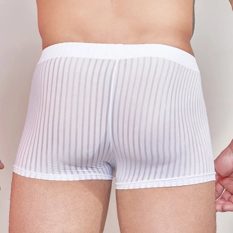 Men's striped underwear in thin transparent nylon fabric showing black, white, and dark grey colour options