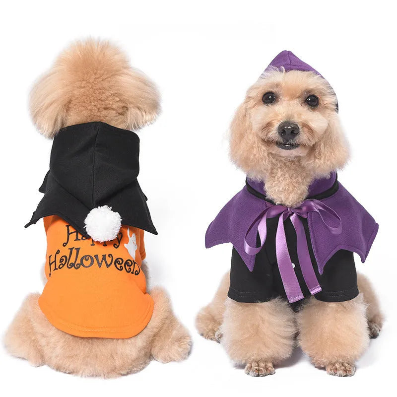 Black and orange pumpkin patterned dog sweater with matching shawl Halloween costume set