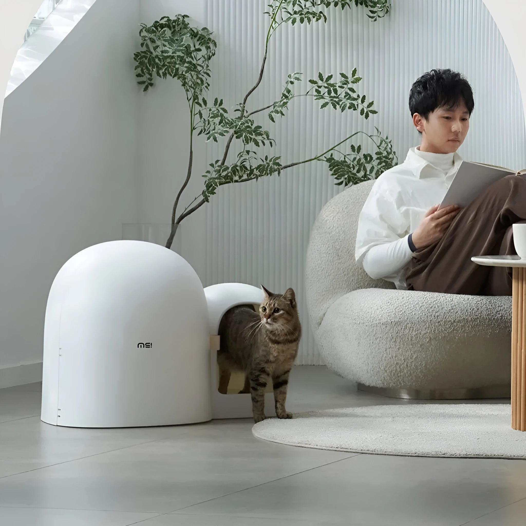 Oversized enclosed cat litter box in ABS plastic measuring 67.7 by 49 by 50 centimetres