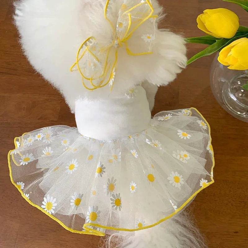 Yellow daisy print summer dog clothes made from lightweight polyester fabric