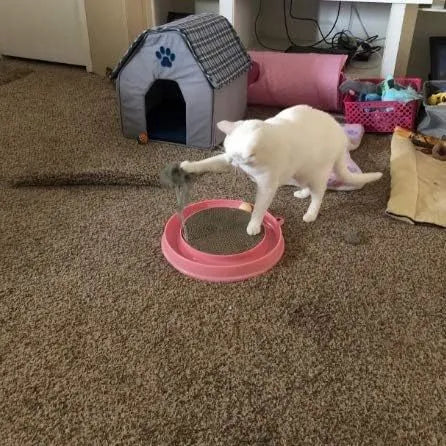 Blue circular cat scratcher with ball track and replaceable centre scratching pad