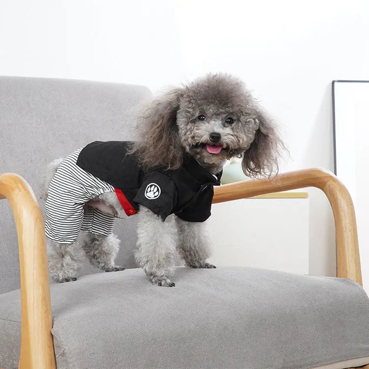 Cotton poodle dog clothes in skirt and four-legged pants styles for spring summer autumn wear