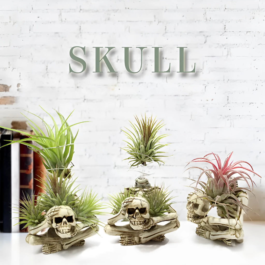 Gothic skull design Tillandsia bracket with resin pot for soilless air plant display