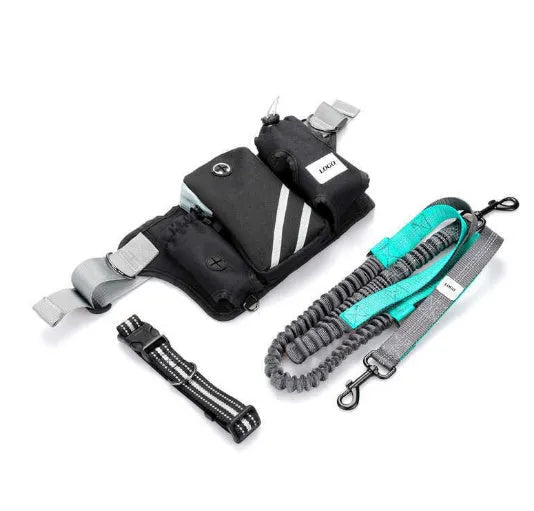Black nylon pet training waist bag set with matching leash and collar for outdoor dog walking