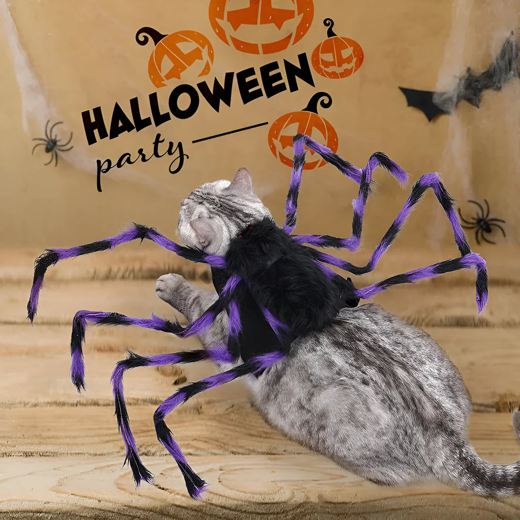 Halloween spider costume for pets in polyester available in grey, brown, black, and purple colours