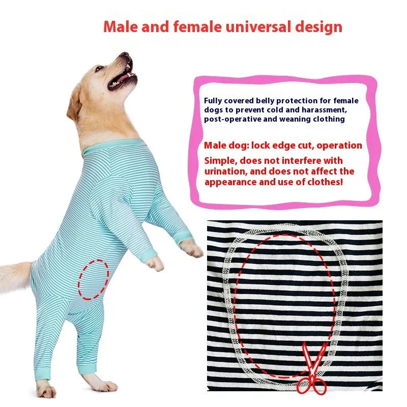 Four-legged striped dog shirt on Golden Retriever showing full coverage design with sky blue colour