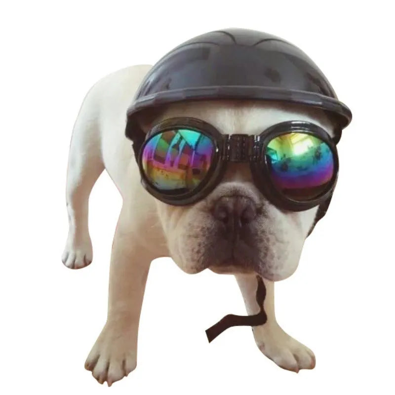 Plastic dog motorcycle cap helmet in seven colours with three size options for small medium large dogs
