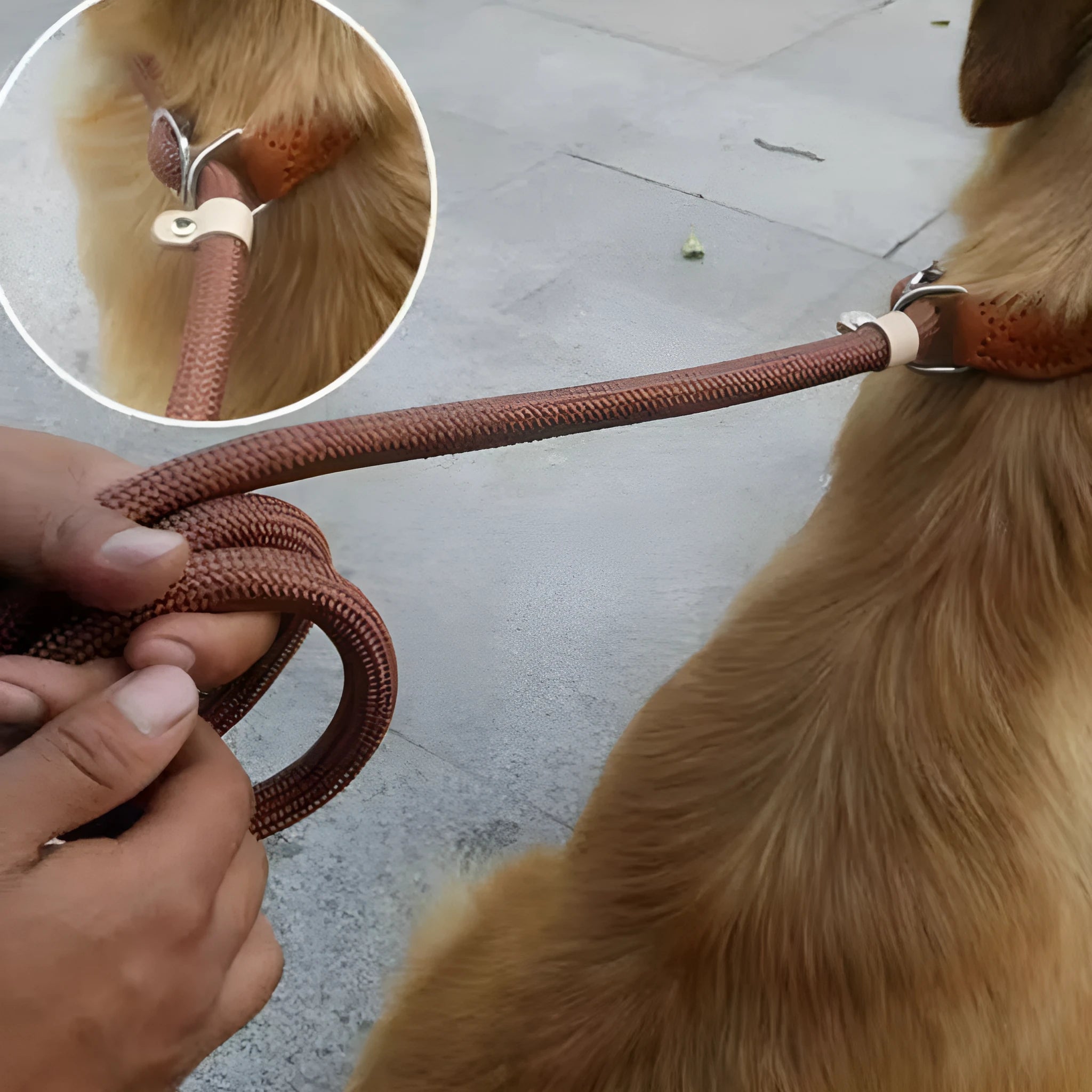 Brown nylon dog leash with metal P-chain section and rope handle measuring 2.1 metres