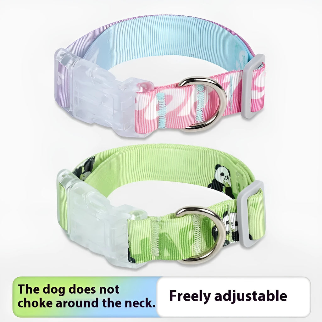 Adjustable nylon dog collar with cartoon gradient print in Panda Green colour, shown in size M.