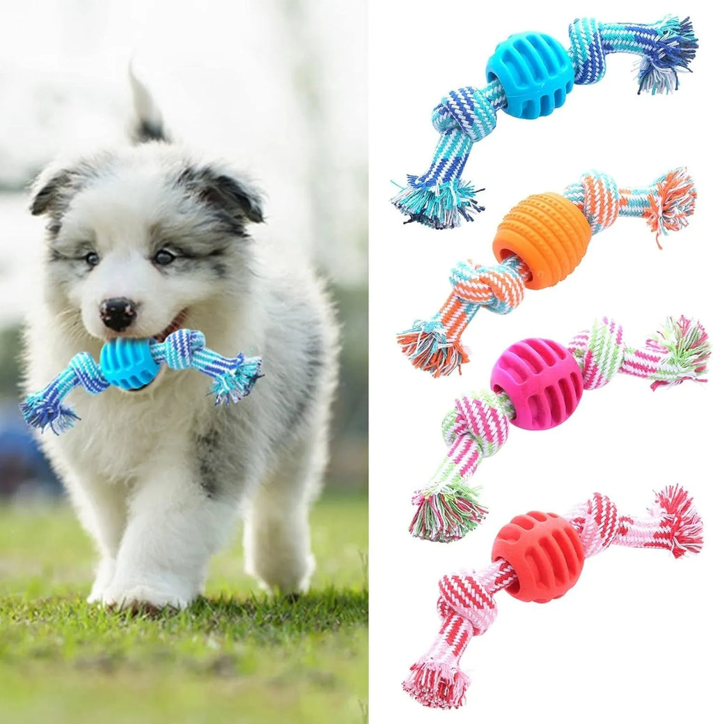 Blue molar-shaped dog chew toy with natural fibre ropes for dental cleaning