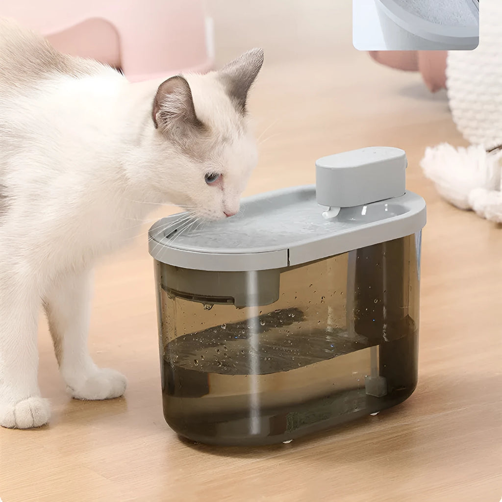 Automatic plastic drinking bowl for cats with infrared sensor, grey colour