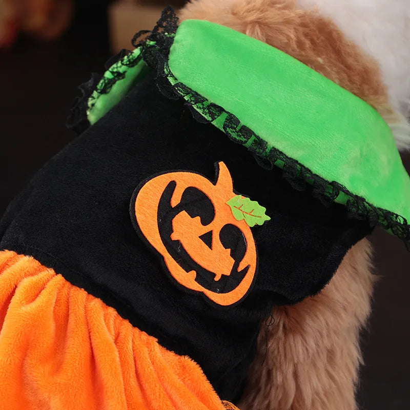 Crystal velvet pet costume with Halloween pumpkin skirt design for dogs and cats in various sizes