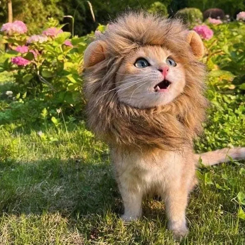 Lion mane wig costume accessory for cats and dogs with artificial hair construction