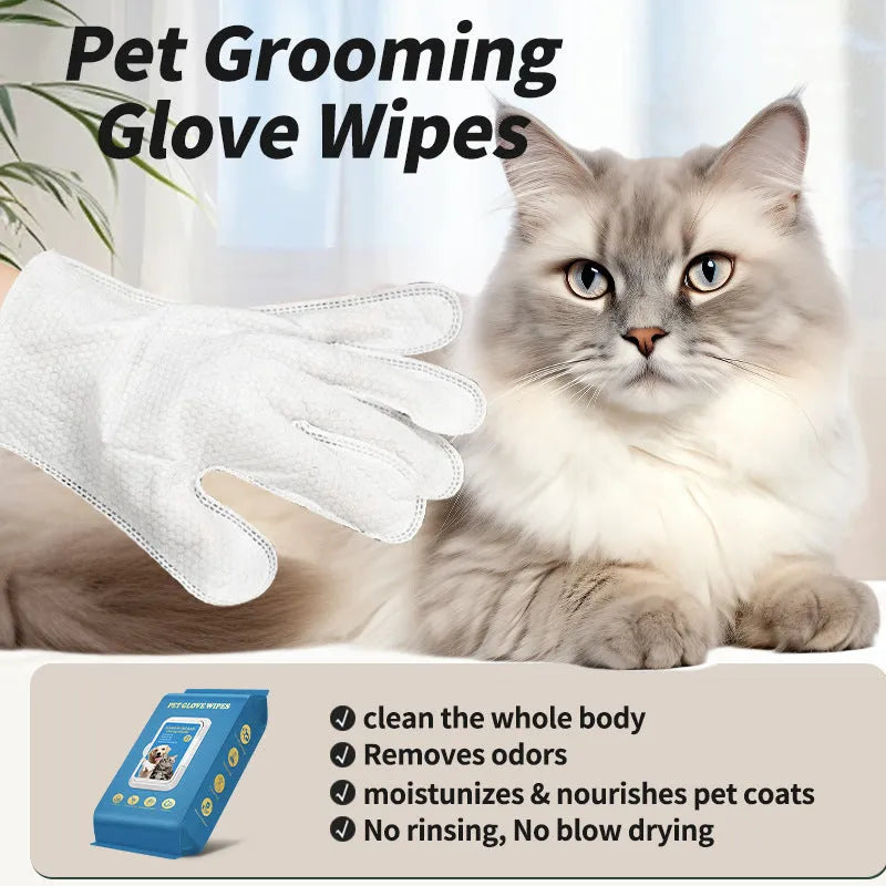 Pack of disposable wash-free gloves for pet bathing and household cleaning tasks.