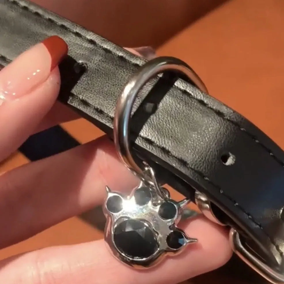 Black leather pet collar with small bell, showing adjustable buckle and cute cat paw design.