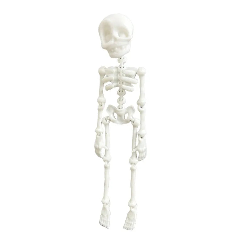 3D printed skull refrigerator magnet in various colours measuring 18cm tall