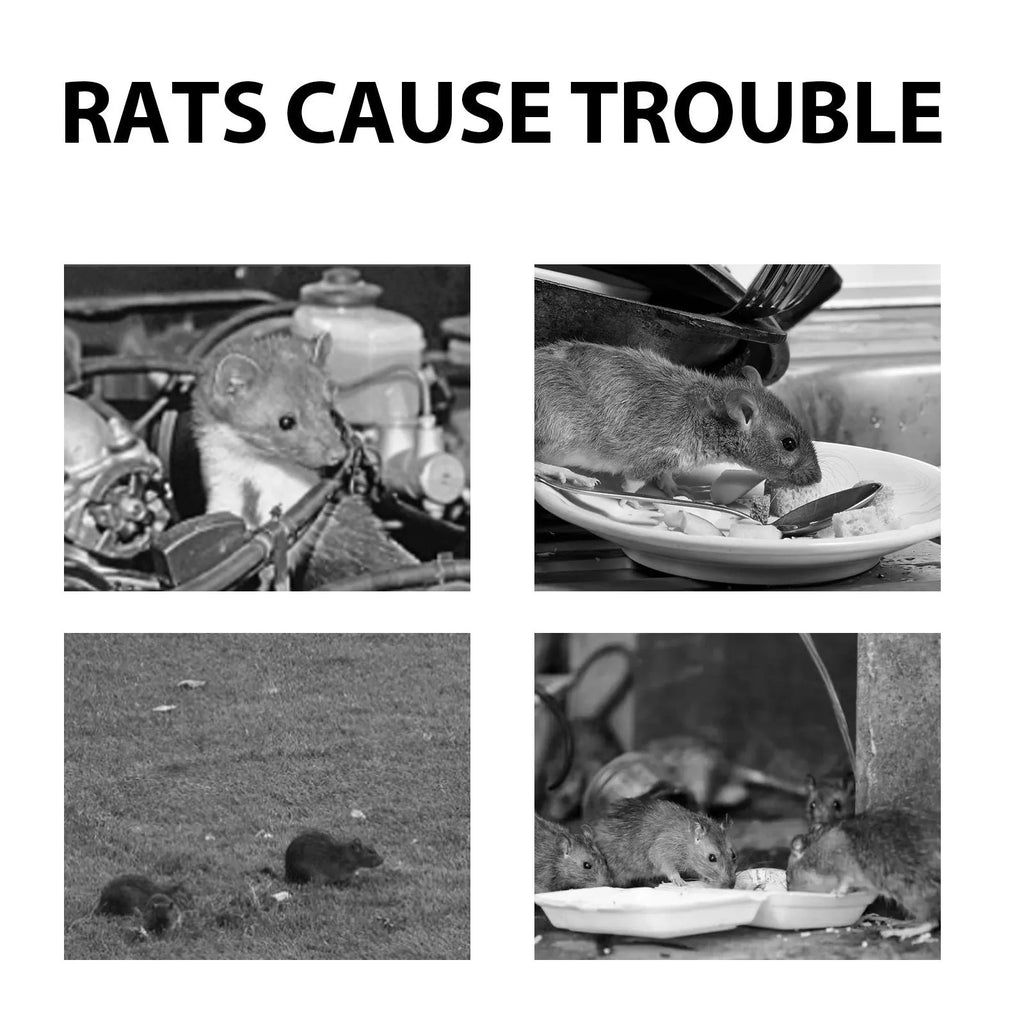 60ml natural rat repellent spray bottle with clove peppermint oil formula for mouse control