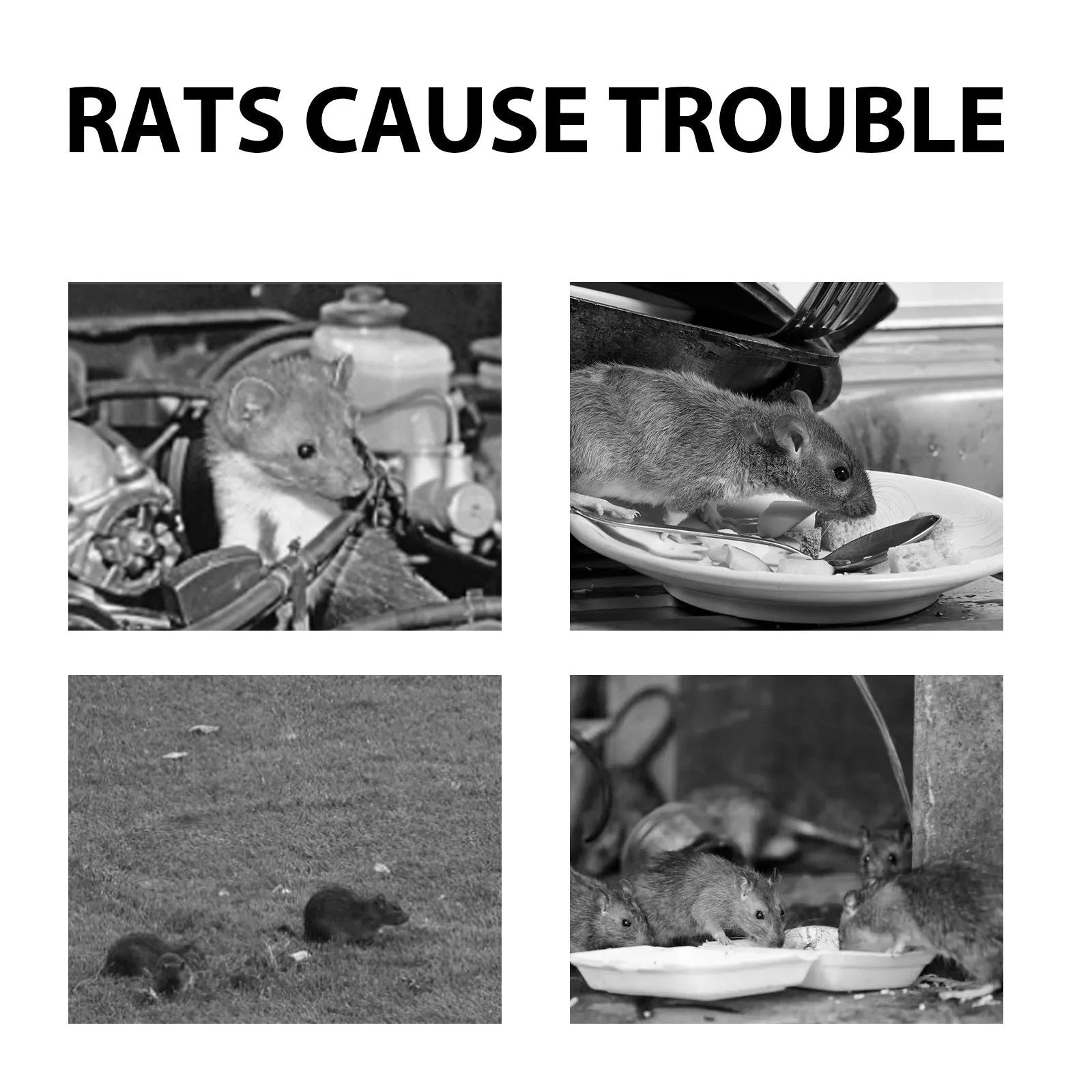 60ml natural rat repellent spray bottle with clove peppermint oil formula for mouse control