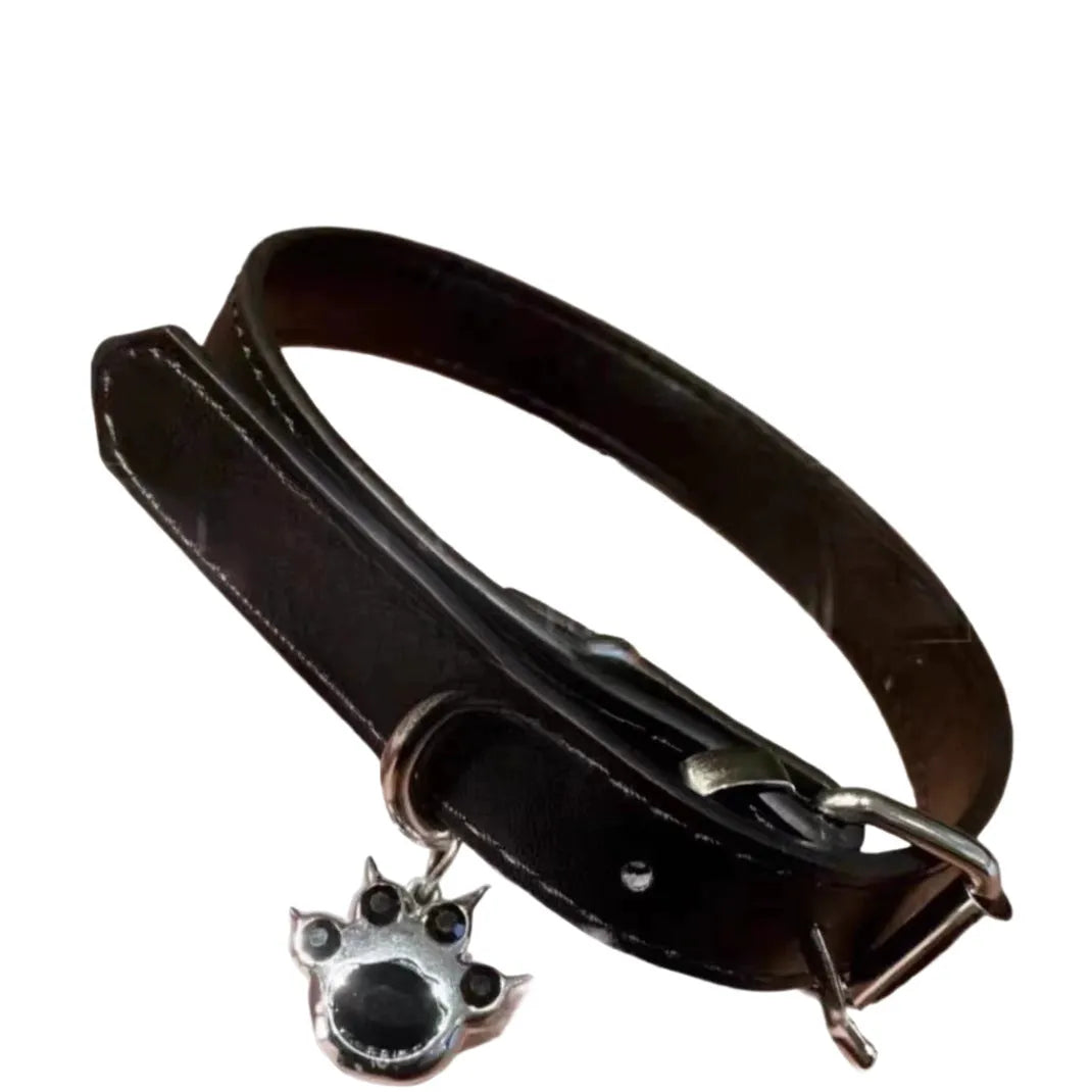 Black leather pet collar with small bell, showing adjustable buckle and cute cat paw design.