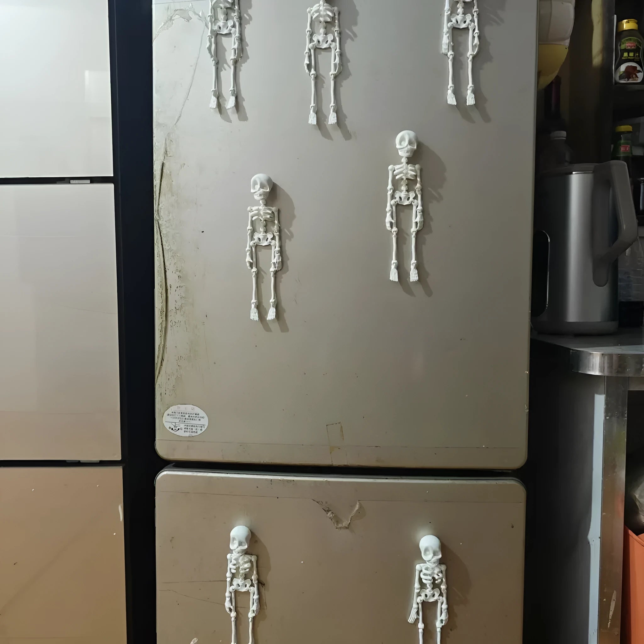 3D printed skull refrigerator magnet in various colours measuring 18cm tall