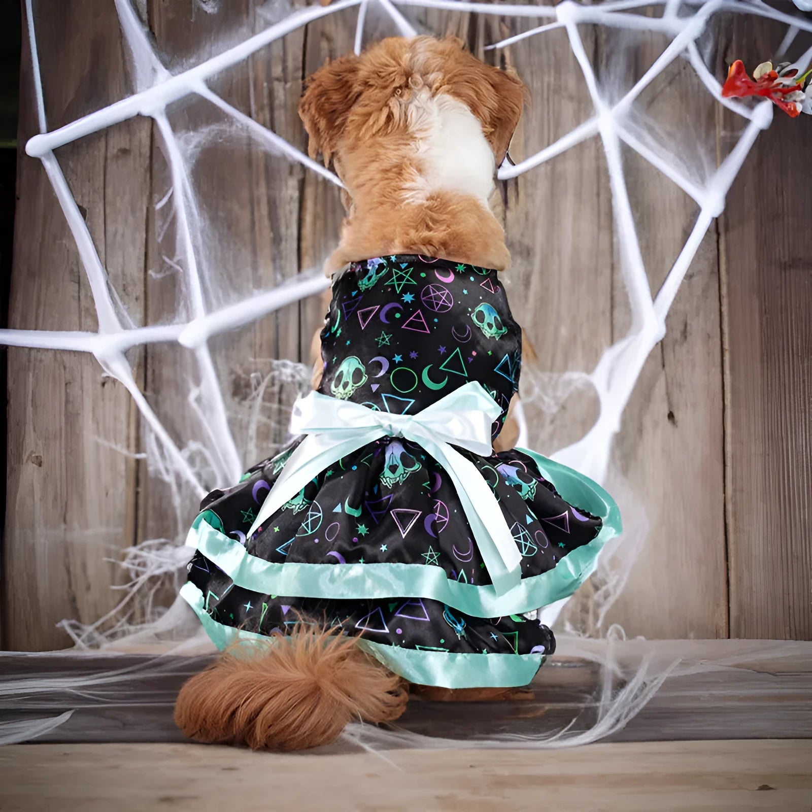 Halloween dog skirt with colourful pumpkin print, double-layer design